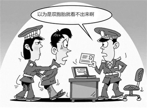 国内移民是什么意思